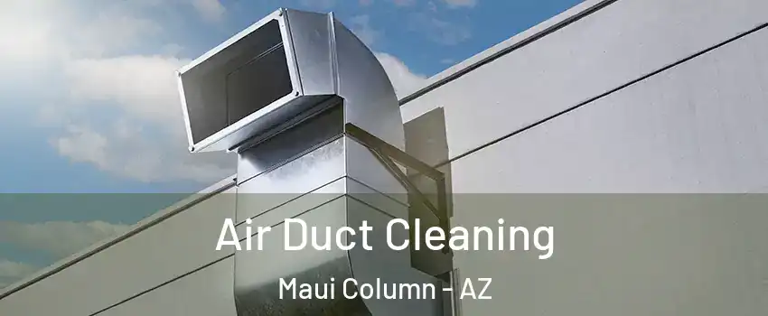 Air Duct Cleaning Maui Column - AZ