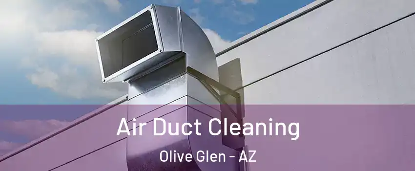 Air Duct Cleaning Olive Glen - AZ