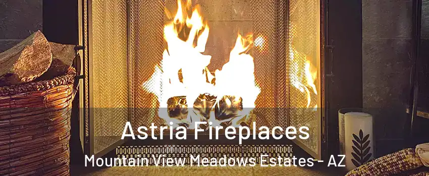 Astria Fireplaces Mountain View Meadows Estates - AZ