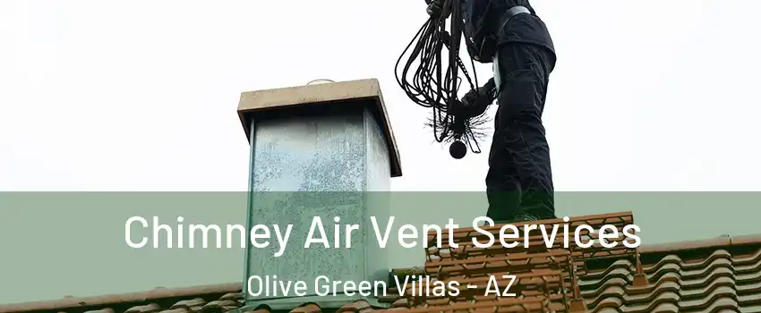 Chimney Air Vent Services Olive Green Villas - AZ