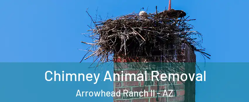 Chimney Animal Removal Arrowhead Ranch II - AZ