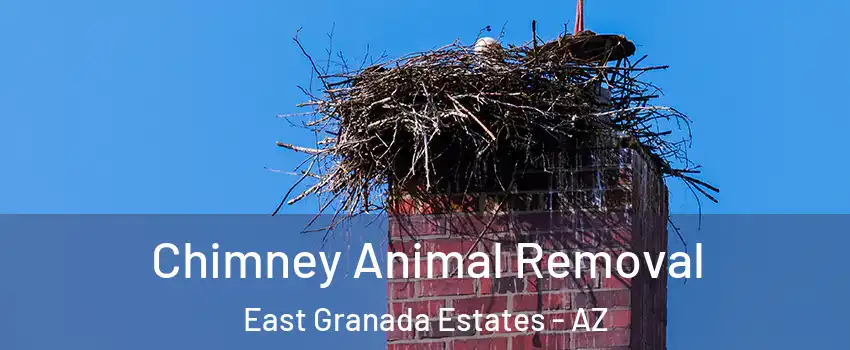 Chimney Animal Removal East Granada Estates - AZ