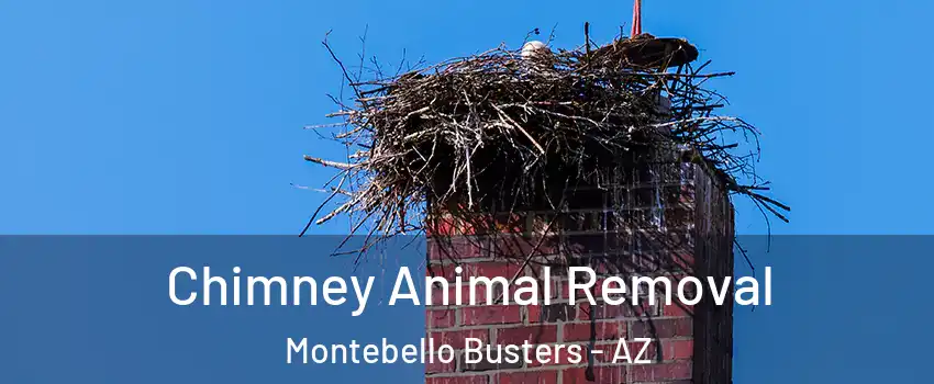 Chimney Animal Removal Montebello Busters - AZ