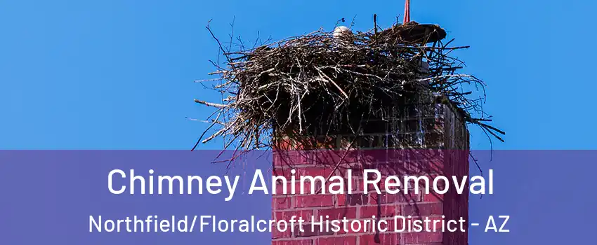 Chimney Animal Removal Northfield/Floralcroft Historic District - AZ