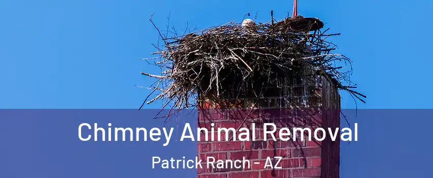 Chimney Animal Removal Patrick Ranch - AZ