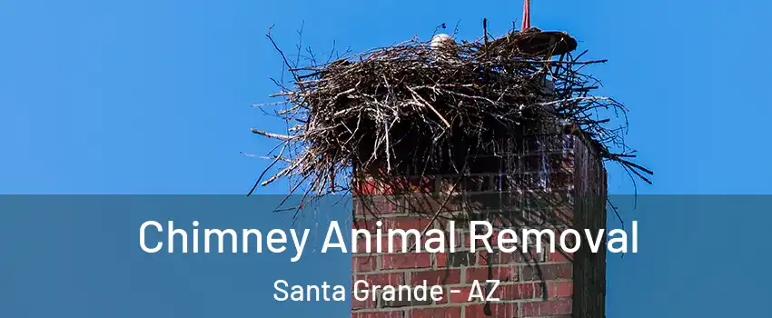 Chimney Animal Removal Santa Grande - AZ