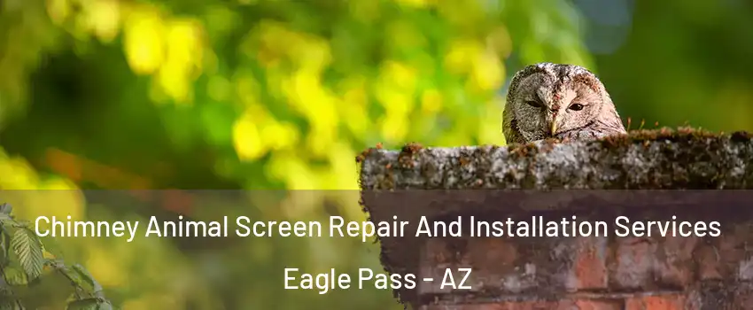 Chimney Animal Screen Repair And Installation Services Eagle Pass - AZ