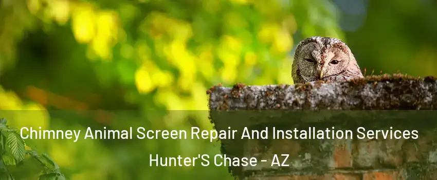 Chimney Animal Screen Repair And Installation Services Hunter'S Chase - AZ