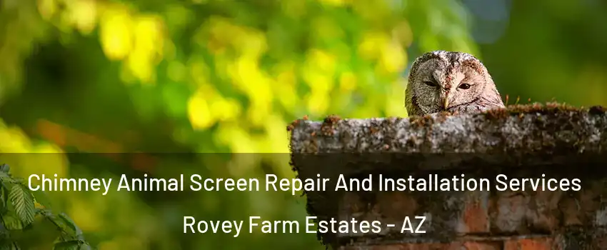 Chimney Animal Screen Repair And Installation Services Rovey Farm Estates - AZ