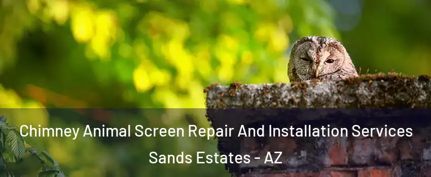 Chimney Animal Screen Repair And Installation Services Sands Estates - AZ