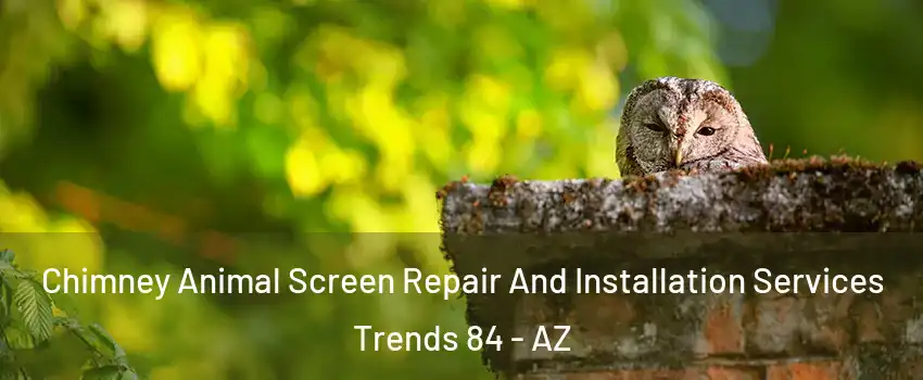 Chimney Animal Screen Repair And Installation Services Trends 84 - AZ