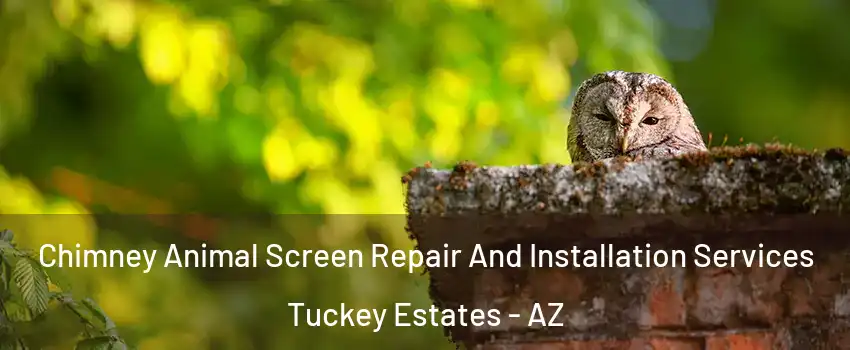 Chimney Animal Screen Repair And Installation Services Tuckey Estates - AZ