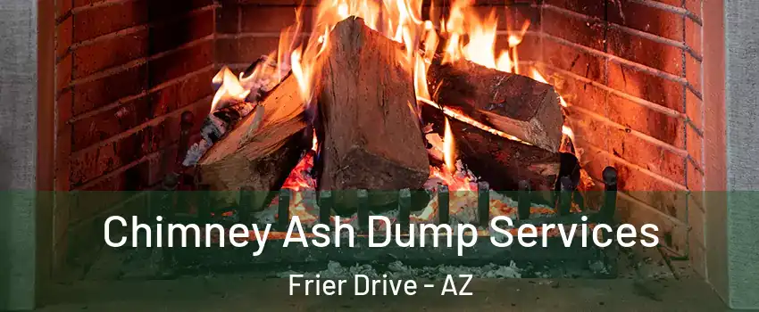 Chimney Ash Dump Services Frier Drive - AZ