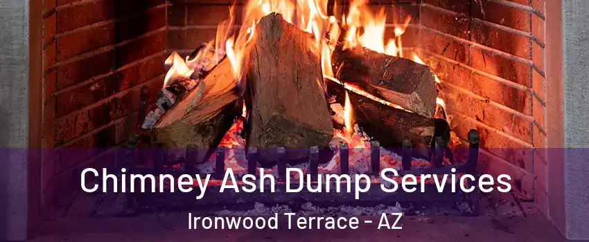 Chimney Ash Dump Services Ironwood Terrace - AZ