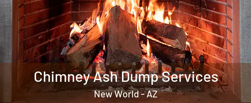 Chimney Ash Dump Services New World - AZ