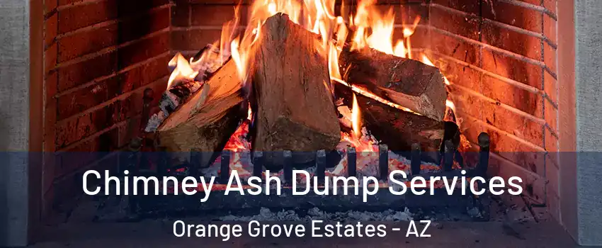 Chimney Ash Dump Services Orange Grove Estates - AZ