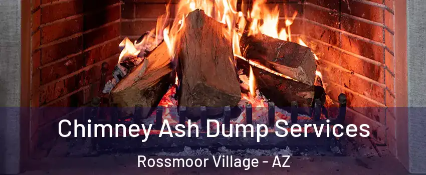 Chimney Ash Dump Services Rossmoor Village - AZ