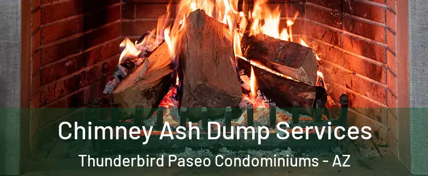 Chimney Ash Dump Services Thunderbird Paseo Condominiums - AZ