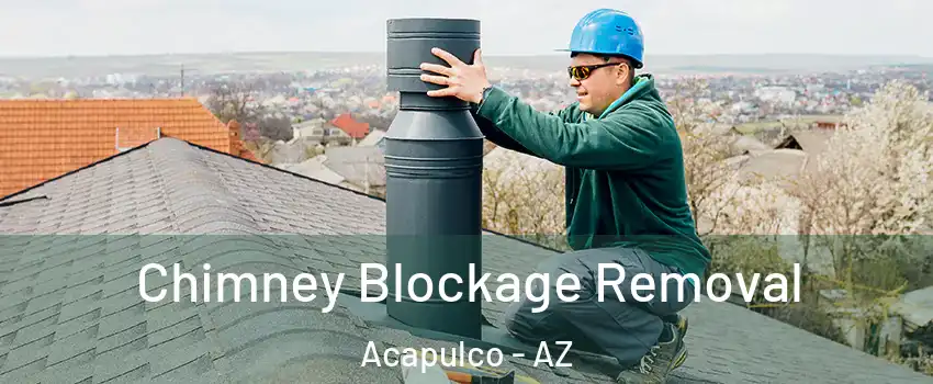 Chimney Blockage Removal Acapulco - AZ