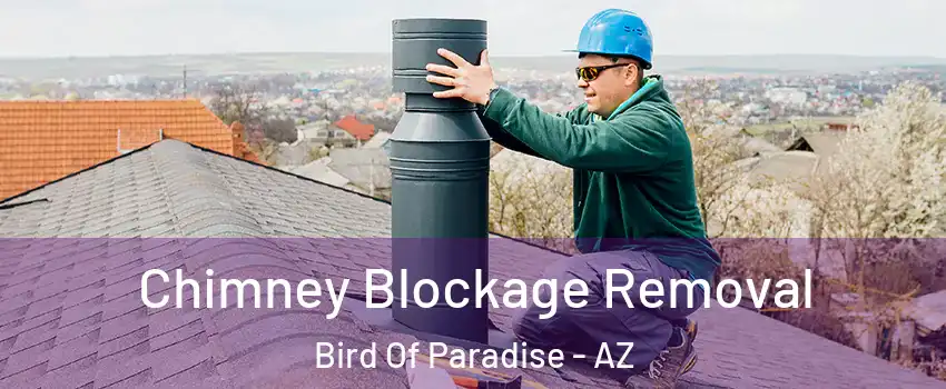 Chimney Blockage Removal Bird Of Paradise - AZ