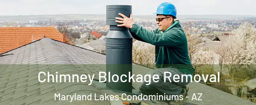 Chimney Blockage Removal Maryland Lakes Condominiums - AZ