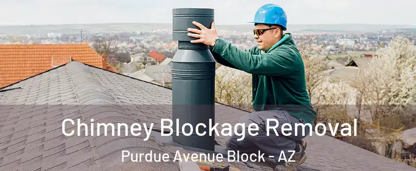 Chimney Blockage Removal Purdue Avenue Block - AZ