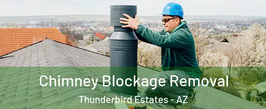 Chimney Blockage Removal Thunderbird Estates - AZ