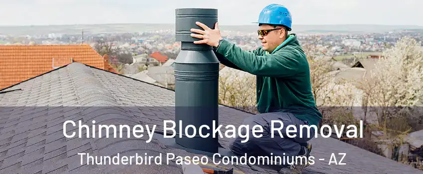 Chimney Blockage Removal Thunderbird Paseo Condominiums - AZ