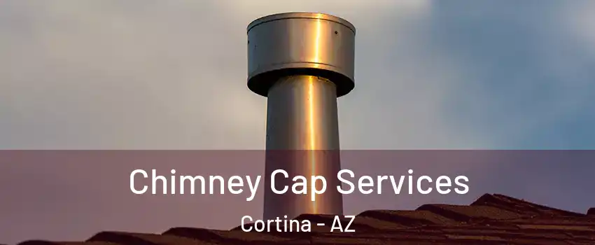 Chimney Cap Services Cortina - AZ