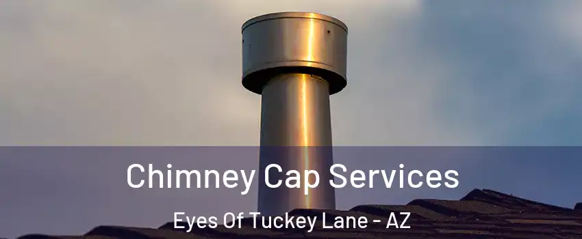 Chimney Cap Services Eyes Of Tuckey Lane - AZ