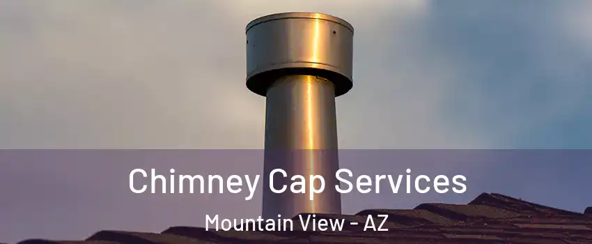 Chimney Cap Services Mountain View - AZ