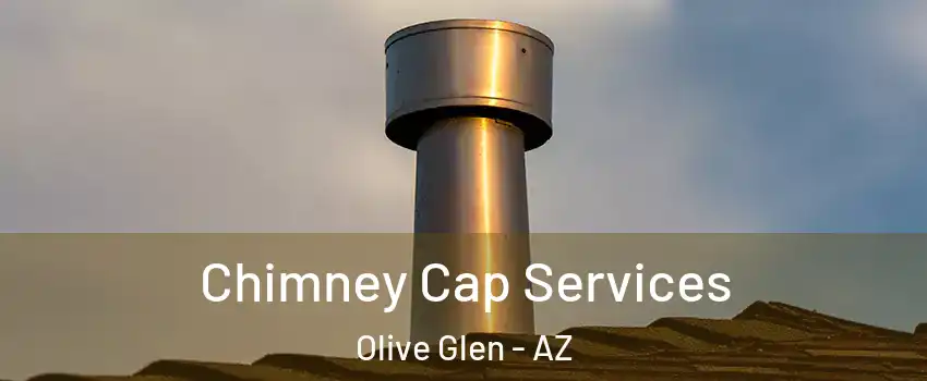 Chimney Cap Services Olive Glen - AZ