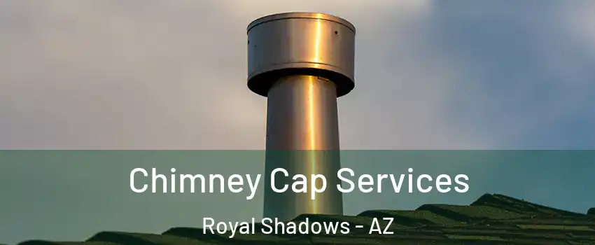 Chimney Cap Services Royal Shadows - AZ