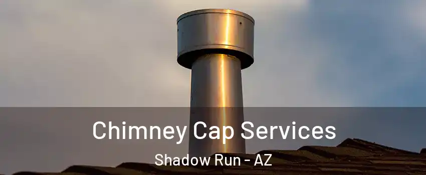 Chimney Cap Services Shadow Run - AZ