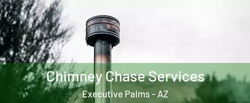 Chimney Chase Services Executive Palms - AZ