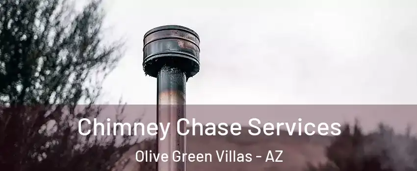 Chimney Chase Services Olive Green Villas - AZ