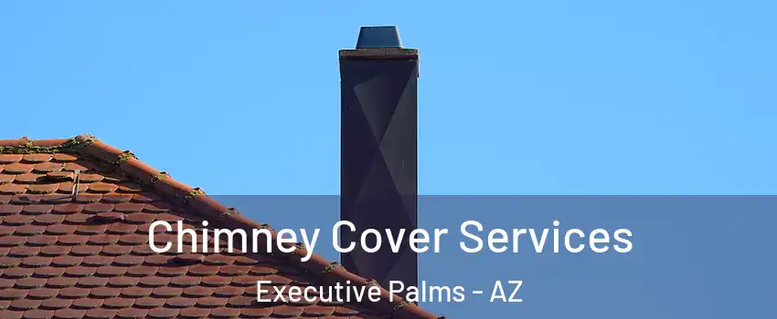 Chimney Cover Services Executive Palms - AZ