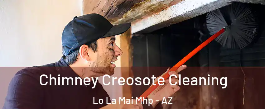 Chimney Creosote Cleaning Lo La Mai Mhp - AZ