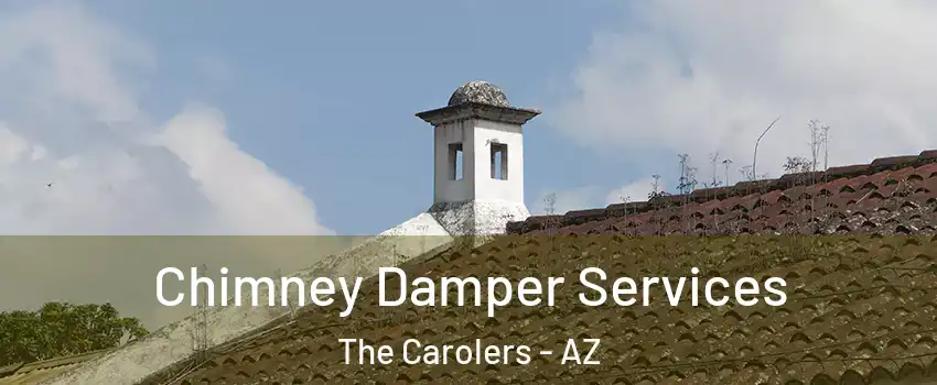 Chimney Damper Services The Carolers - AZ