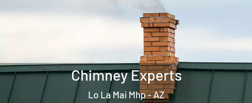 Chimney Experts Lo La Mai Mhp - AZ