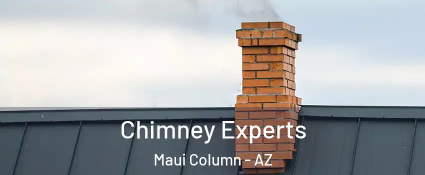 Chimney Experts Maui Column - AZ