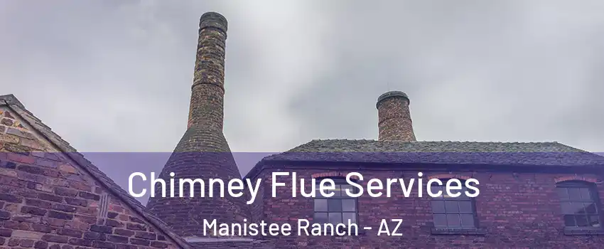 Chimney Flue Services Manistee Ranch - AZ