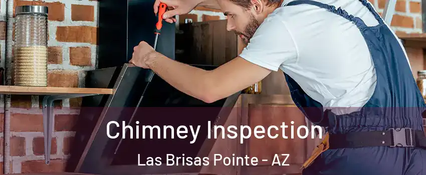 Chimney Inspection Las Brisas Pointe - AZ