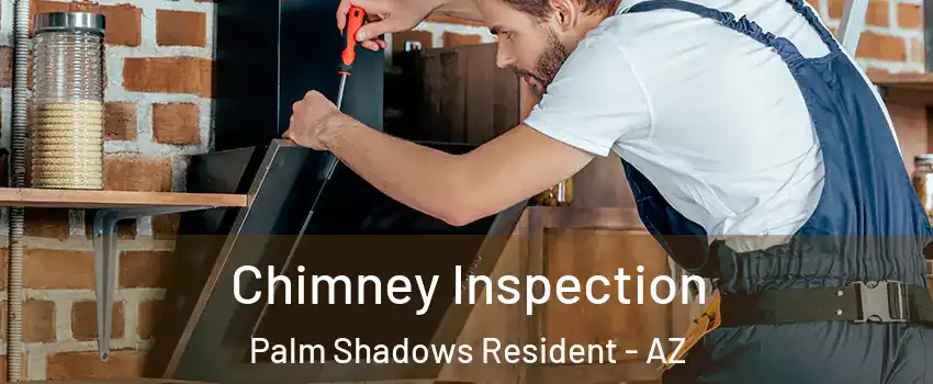 Chimney Inspection Palm Shadows Resident - AZ