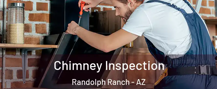 Chimney Inspection Randolph Ranch - AZ