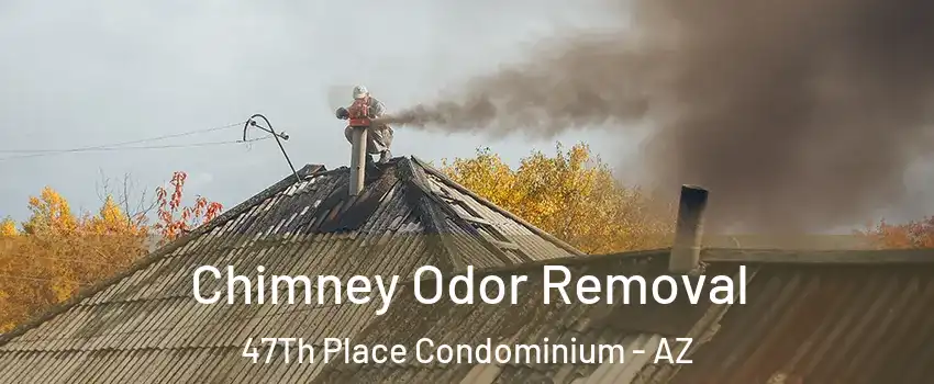 Chimney Odor Removal 47Th Place Condominium - AZ