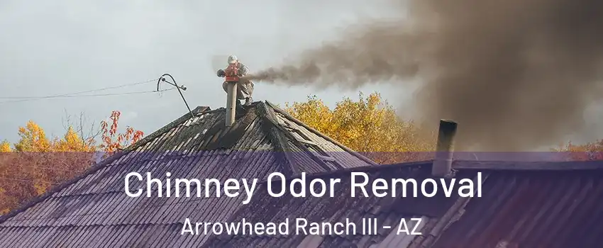 Chimney Odor Removal Arrowhead Ranch III - AZ