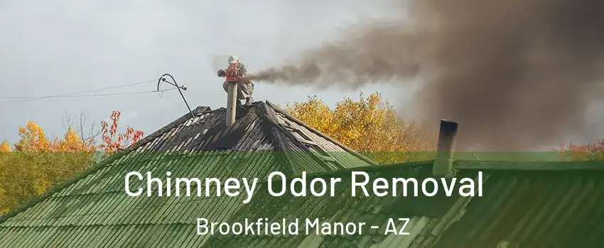 Chimney Odor Removal Brookfield Manor - AZ