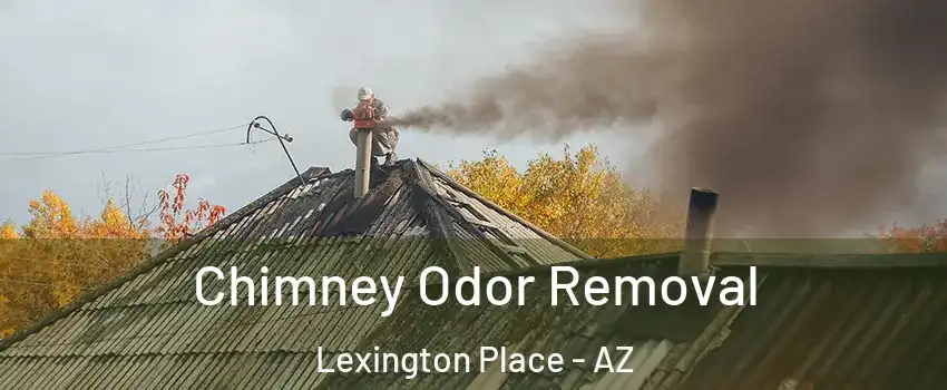 Chimney Odor Removal Lexington Place - AZ