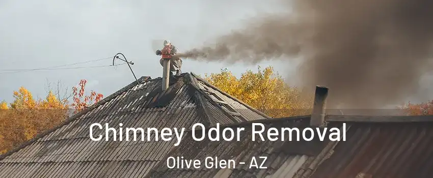 Chimney Odor Removal Olive Glen - AZ